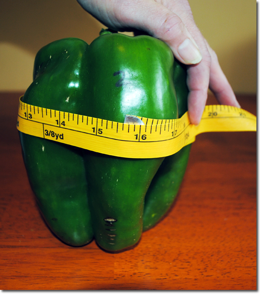 giant pepper