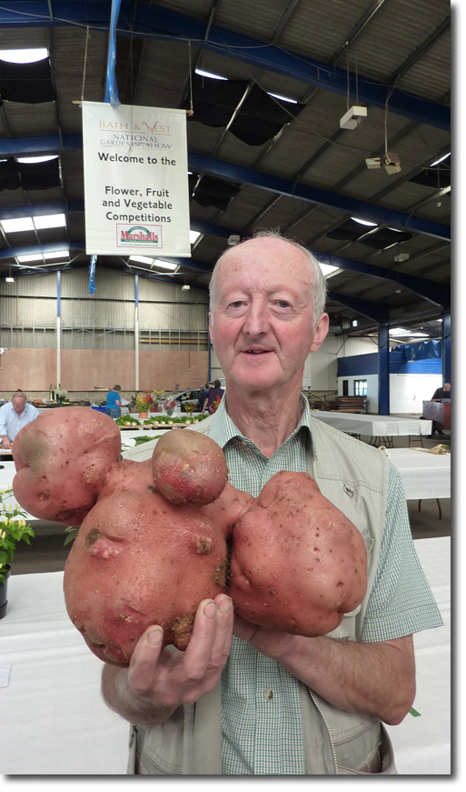 world record giant potato