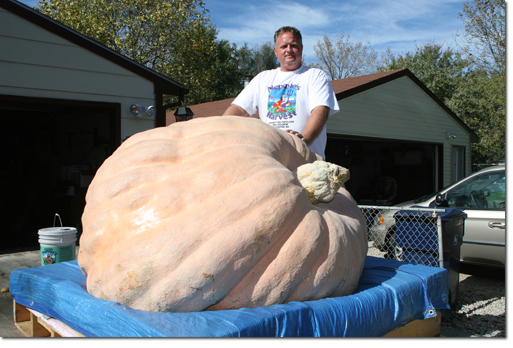 giant Pumpkin