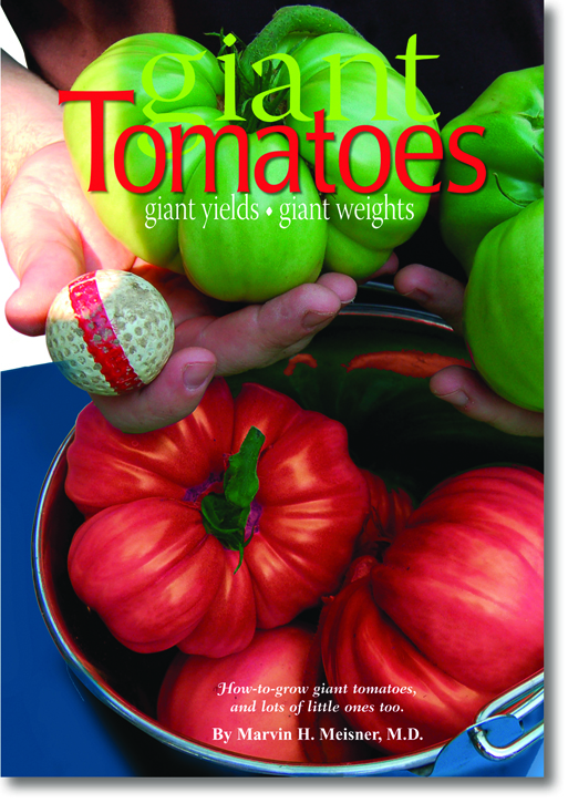 Giant Tomato Book