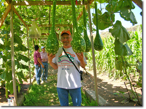 george in long gourds