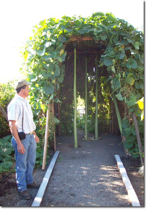 long gourd trellis