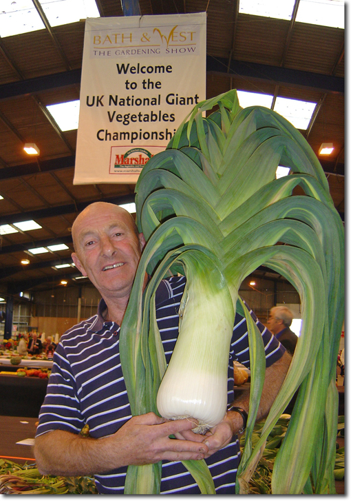 giant leek