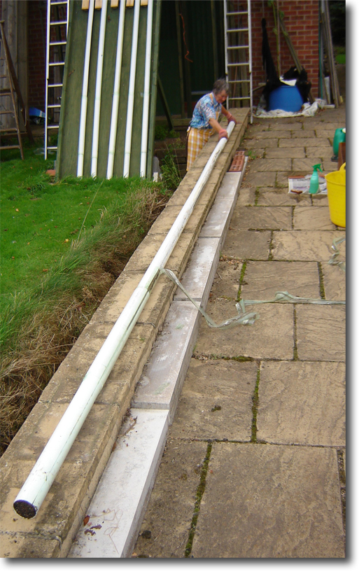 inspecting long vegetable pipes