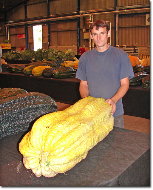 Giant Marrows